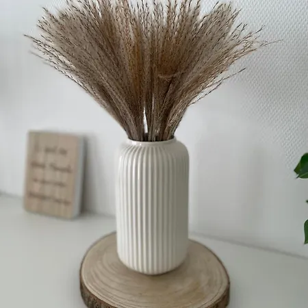 Vechtedomizil - Stilvolle Erdgeschosswohnung Mit Sauna, Whirlpool Апартаменты