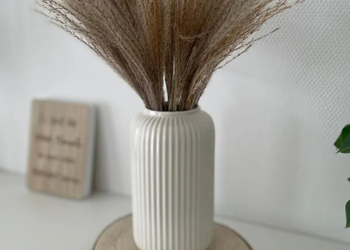 Vechtedomizil - Stilvolle Erdgeschosswohnung Mit Sauna, Whirlpool Daire